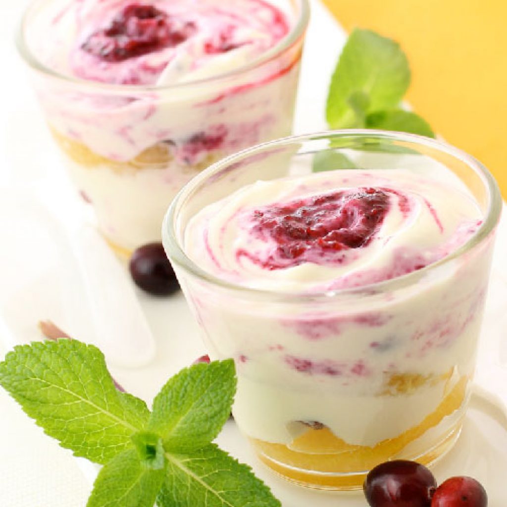 Veganes BioCranberry Joghurt